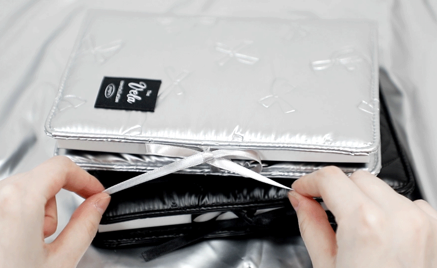 Pleple 2025 Vela Diary (4款)