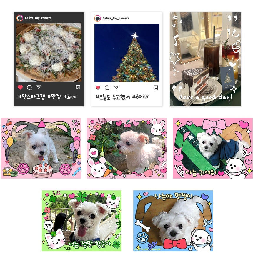 【SEVENTEEN DK同款】Celive Toy Camera 玩具相機