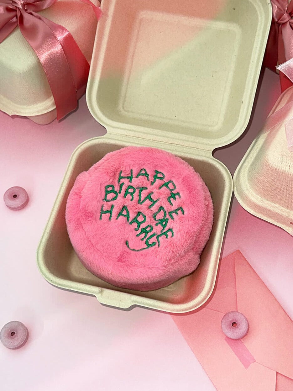 Harry Potter Happee Birthdae Harry Pouch (XS/S)