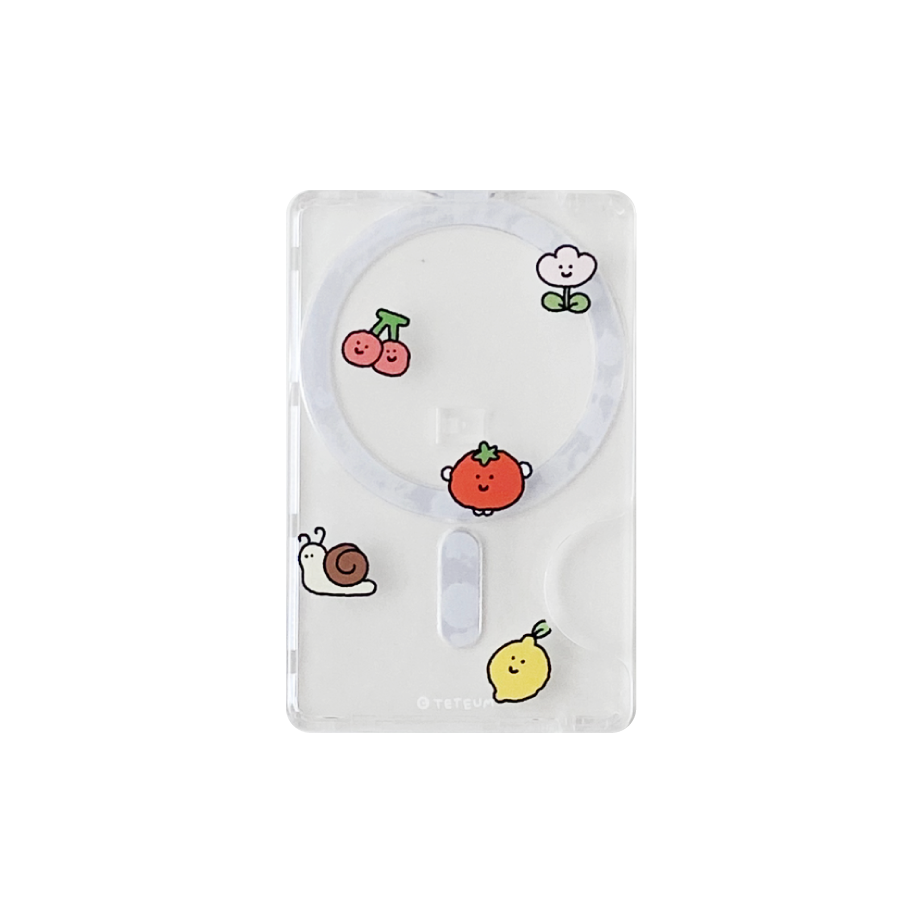 Teteum Little Buddies Magsafe Card Slot