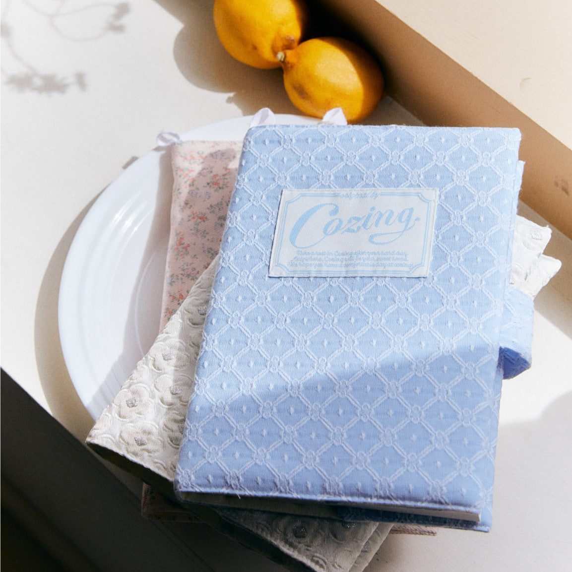 Cozing Homely book cover (white/sky)