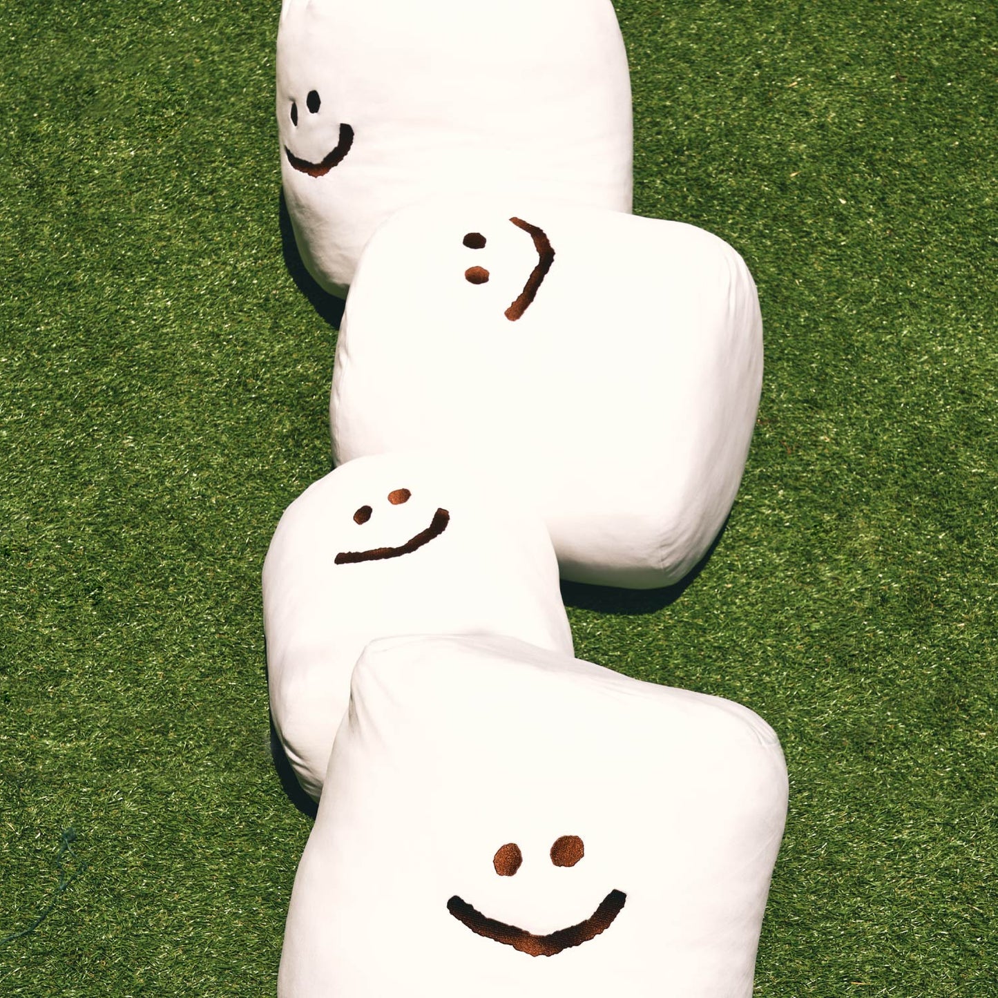 Dinotaeng Giant Marsh on the field_Cushion