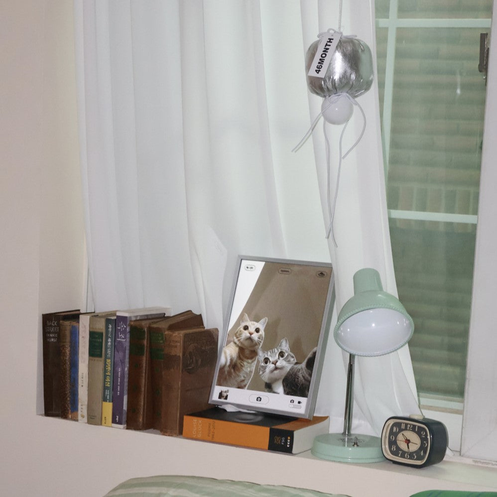 46month Selfie Cat Poster Mirror 和貓貓自拍鏡子