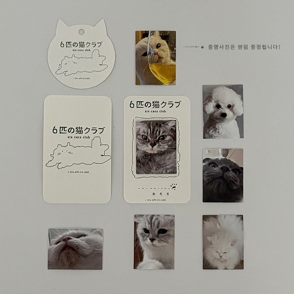 I live with six cats Six Cats Club Milk Cup