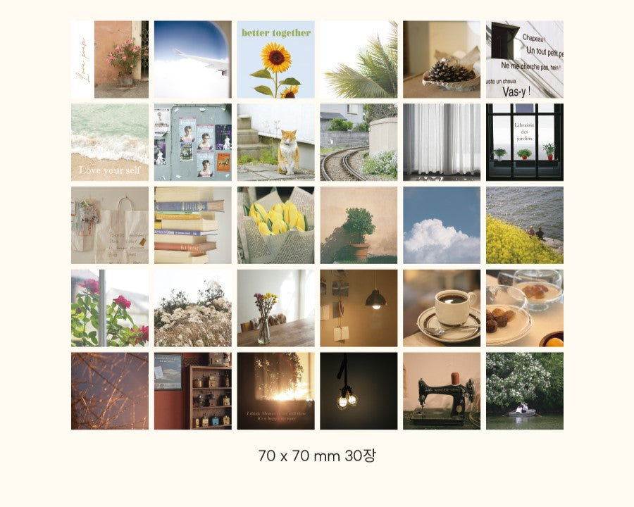 Indigo Mind Snap Sticker Pack (100EA)