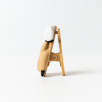 Dinotaeng Marshville Mini Clip (3款)