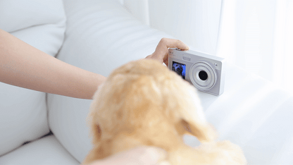 Luodin Self Retro Dual Digital Camera📷雙mon CCD相機