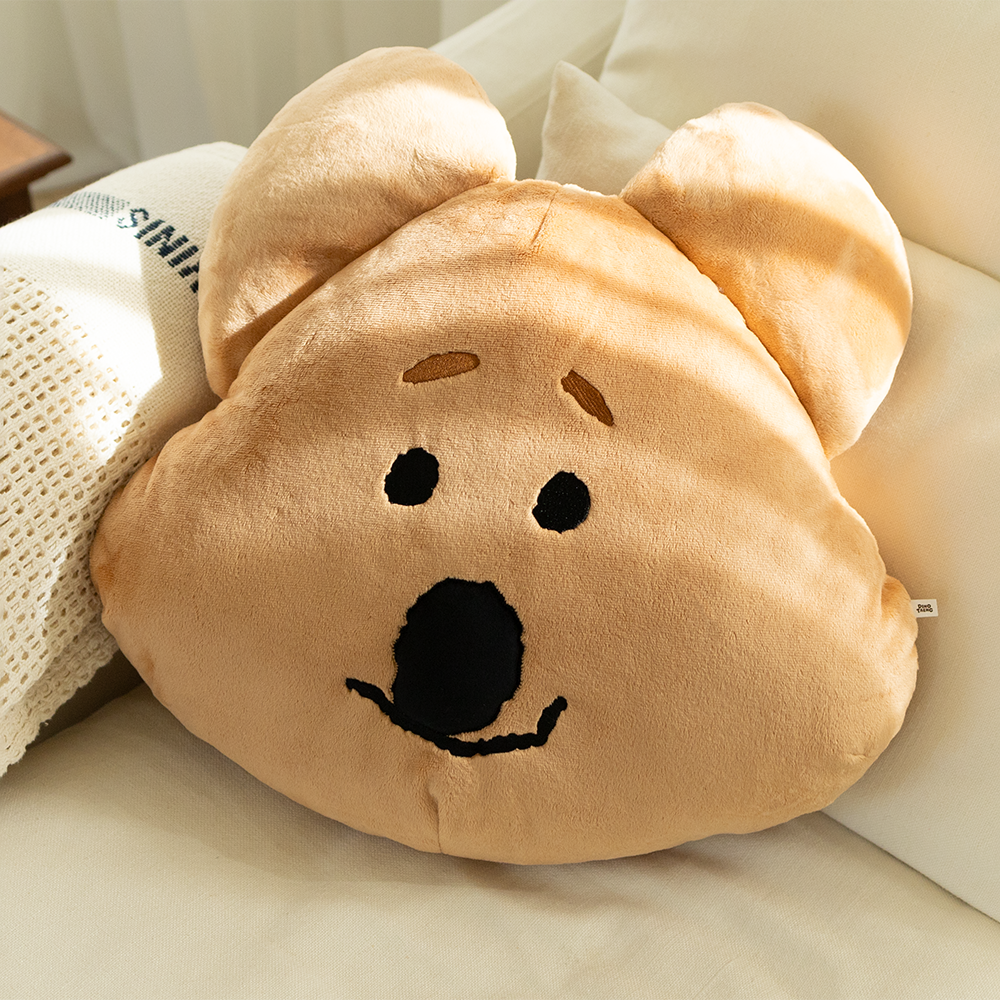 Dinotaeng Fluffy FATTY Face Cushion 攬枕