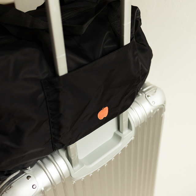 Dinotaeng Smokey Bobo Luggage Bag 行李袋