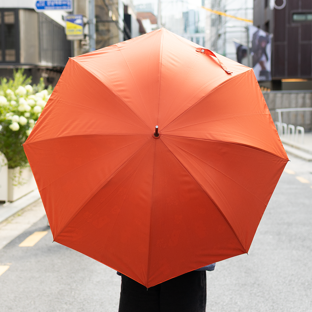 Dinotaeng Quokka & Bobo Stick Umbrella (2款)