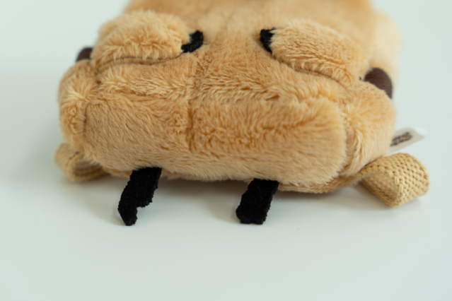 【現貨95折】Dinotaeng Quokka Backpack Keyring