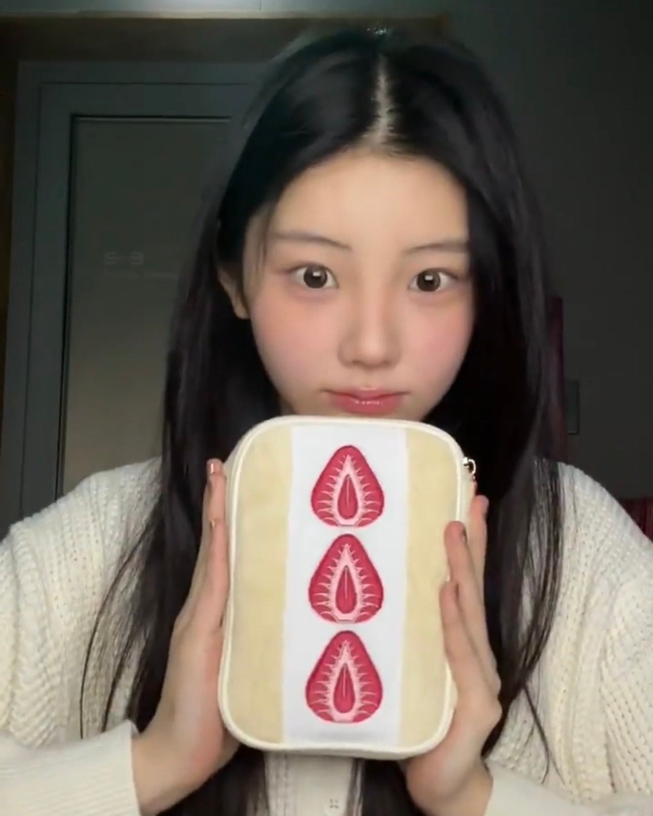 【ILLIT Wonhee同款】Katze Strawberry Sandwich Pouch