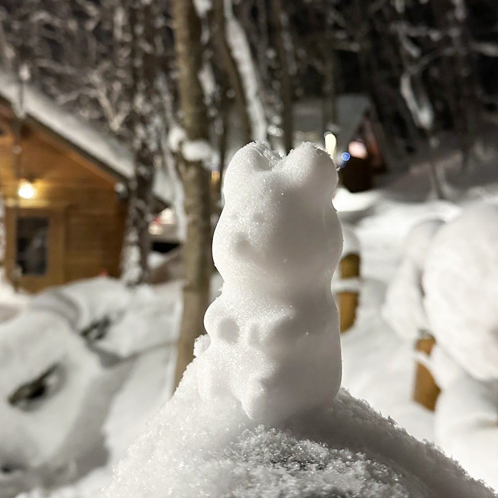 Dinotaeng Quokka Snowball Maker