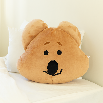 Dinotaeng Fluffy FATTY Face Cushion 攬枕