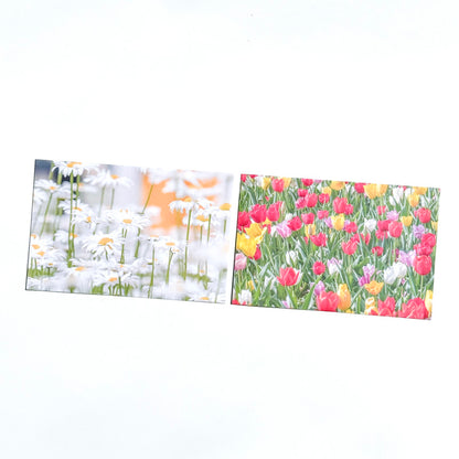 Mingkit Flower Sticker Pack (10P)