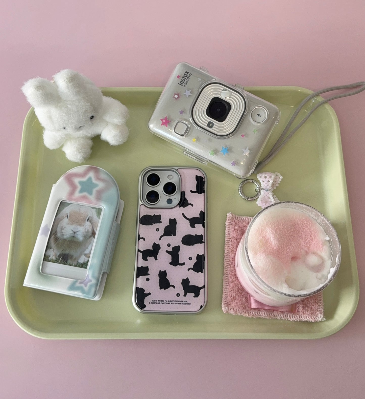 Your Emotions Beloved Cat Case (Silver Epoxy) (4色)