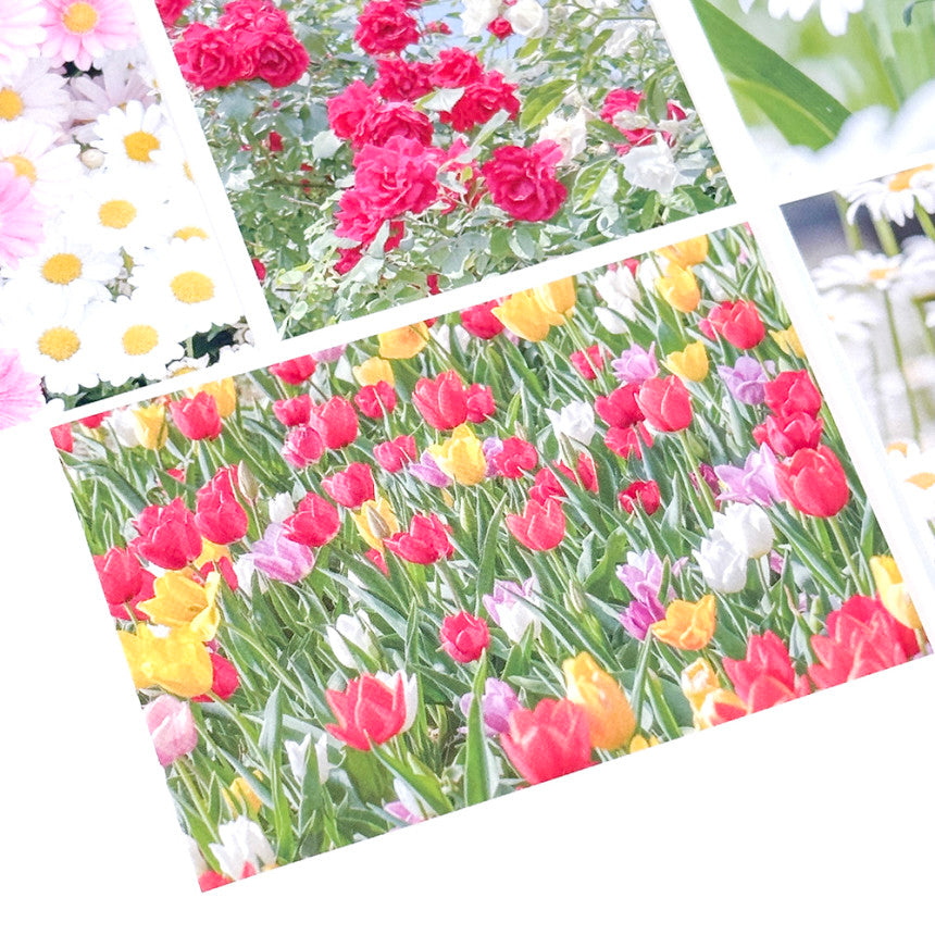 Mingkit Flower Sticker Pack (10P)