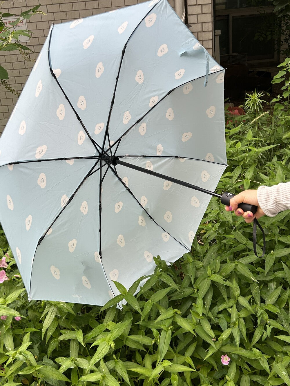 Skyfolio Umbrella & Parasol 自動晴雨傘 (2款)