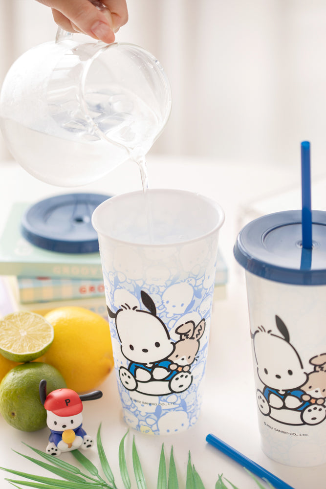 Sanrio Reusable Cold Tumbler Set Ver.2 (1 set 6個)