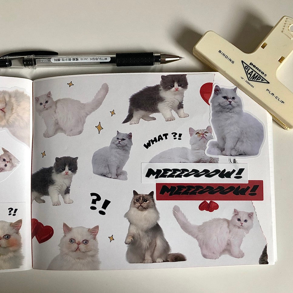 Loverspickme Cat Package