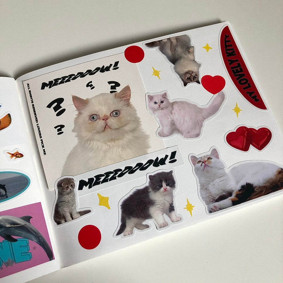 Loverspickme Cat Package