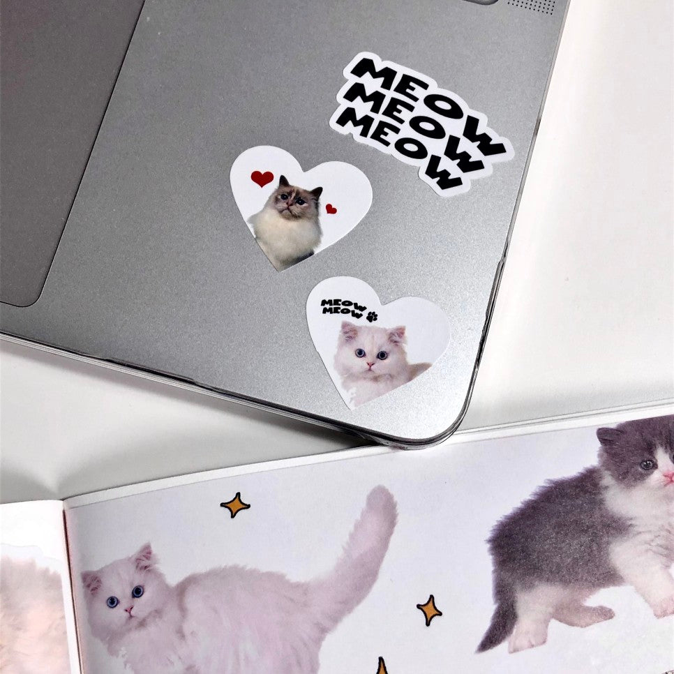 Loverspickme Cat Package