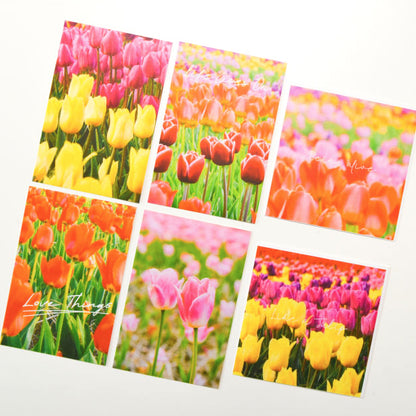 594 Land Like A Tulip Sticker Pack