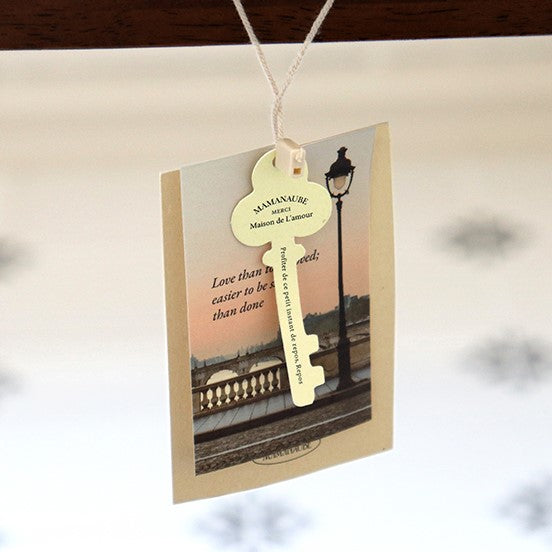 Indigo Mind Travel Sticker Pack - Paris (60EA)