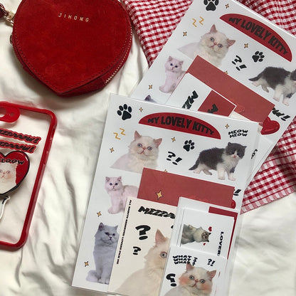 Loverspickme Cat Package