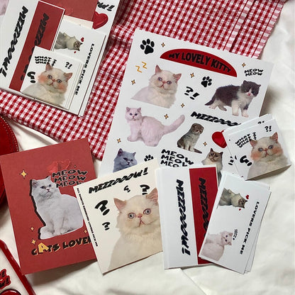 Loverspickme Cat Package